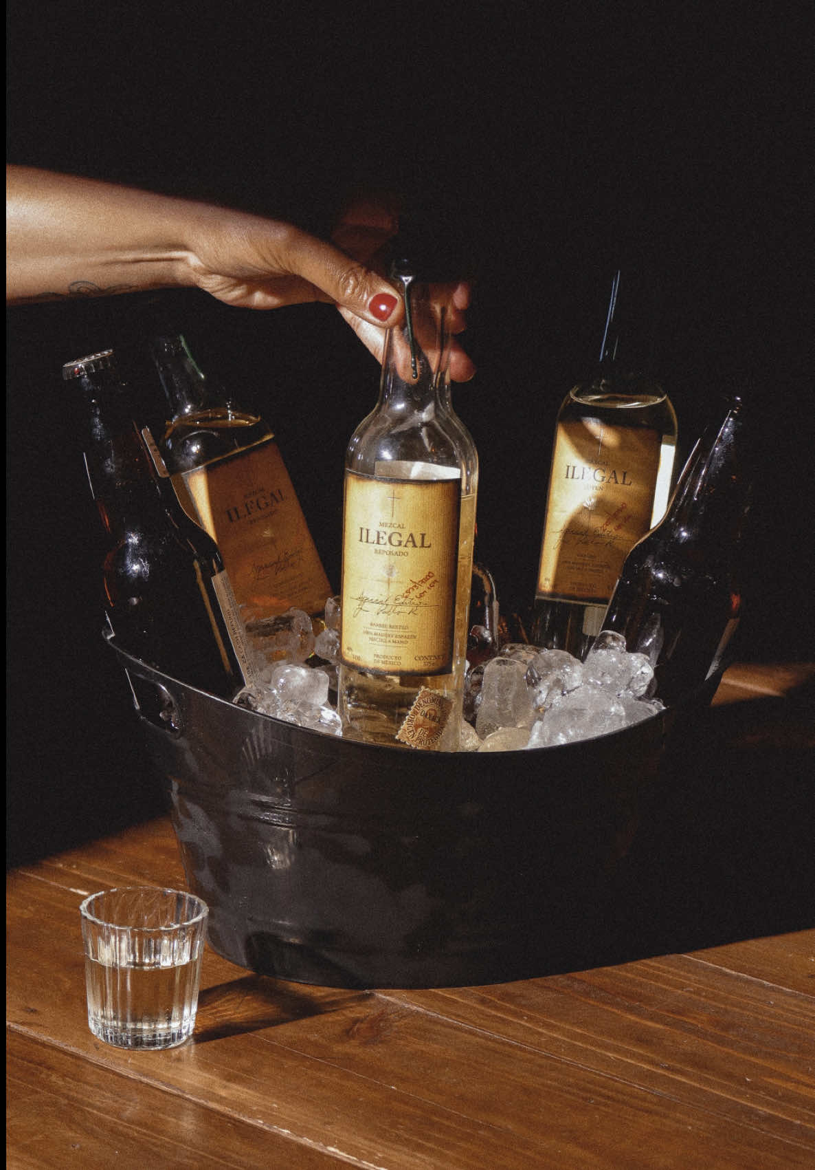 @Ilegal Mezcal