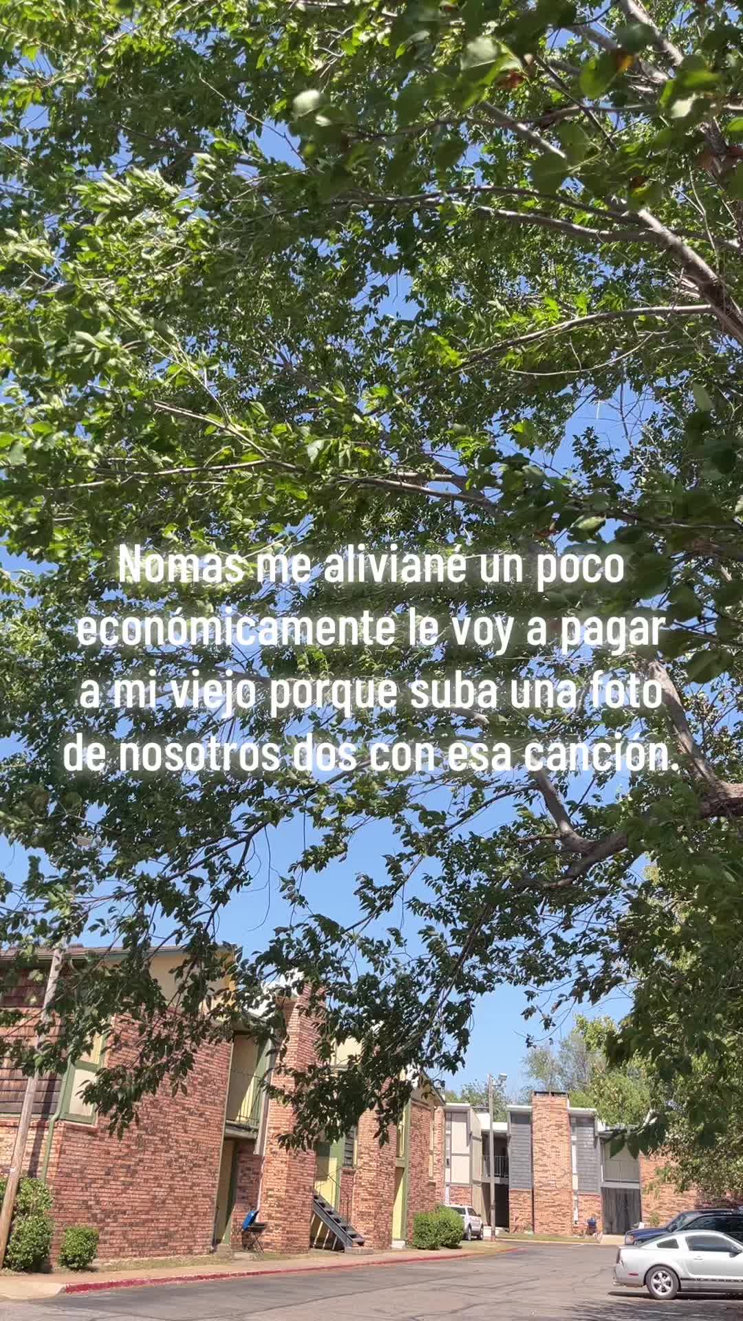 @Bibi