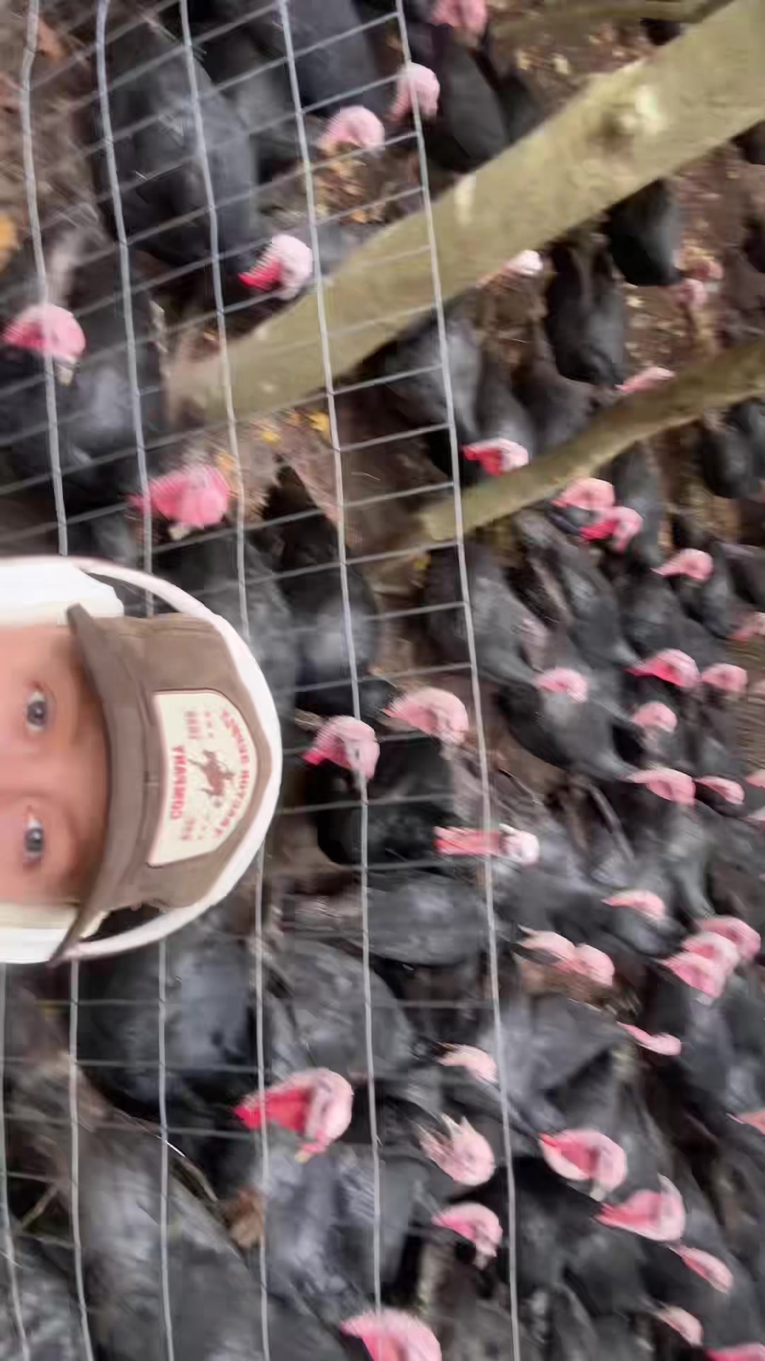 @farmerandtheharpiist