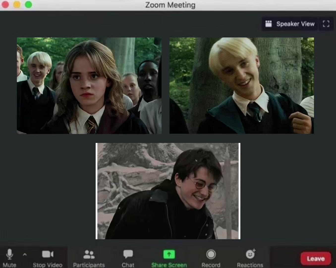@Drarry ⚯͛ 💚❤️ (multifandom)