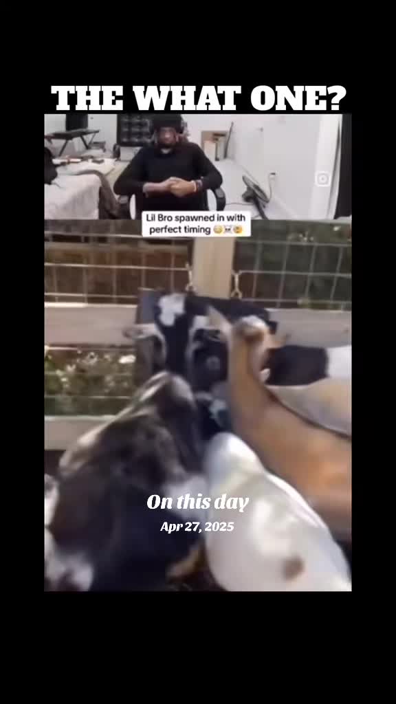 @SAVAGE VIDS
