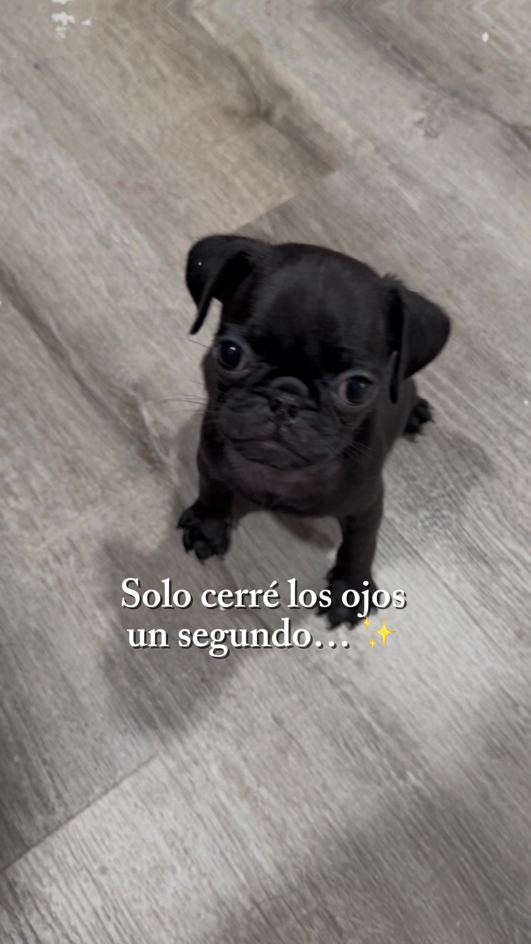 @Lissavega@50