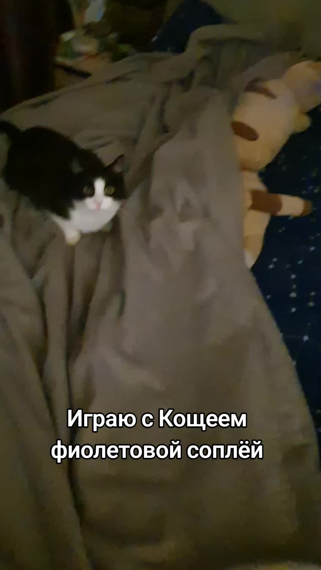 @Николай Георгиевич Срака
