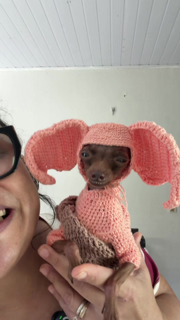 @rozi_pet_micros_oficial