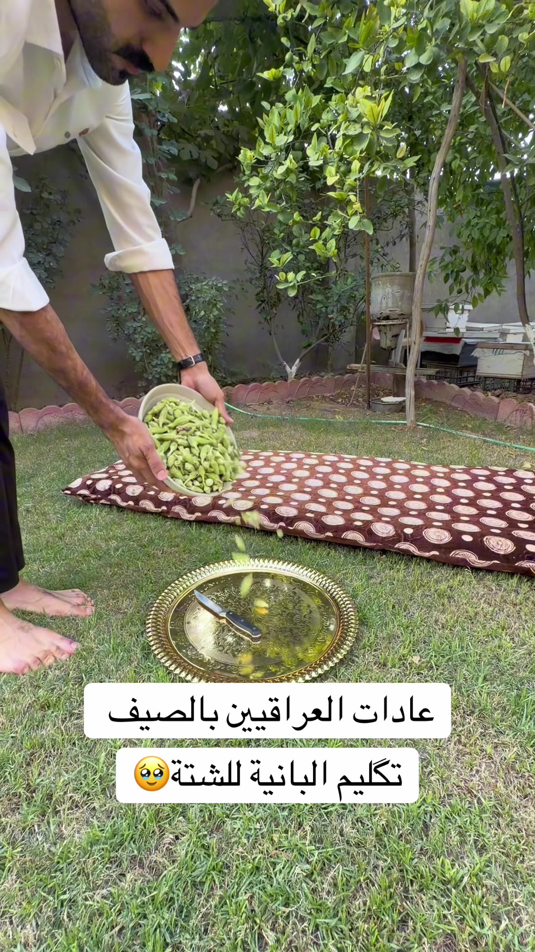 @صافي نبيل