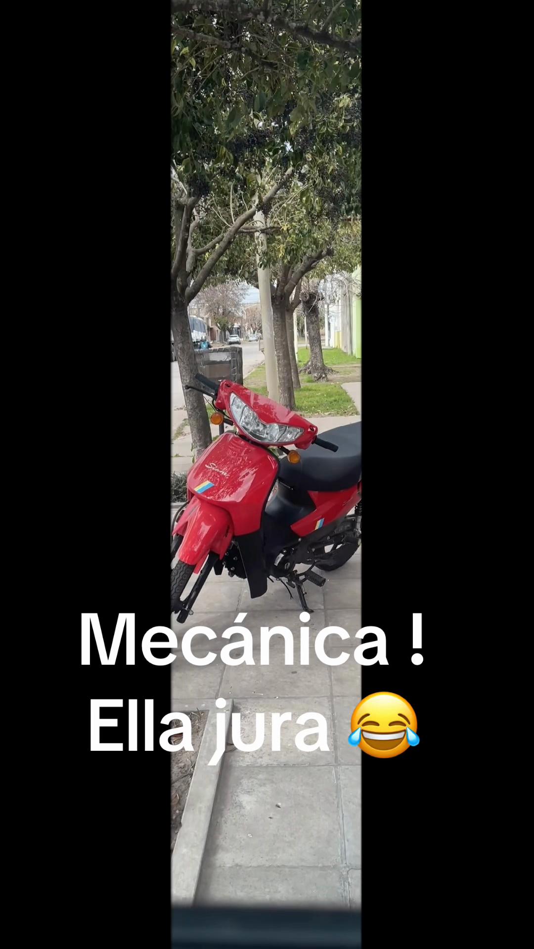@LAURA 🌸
