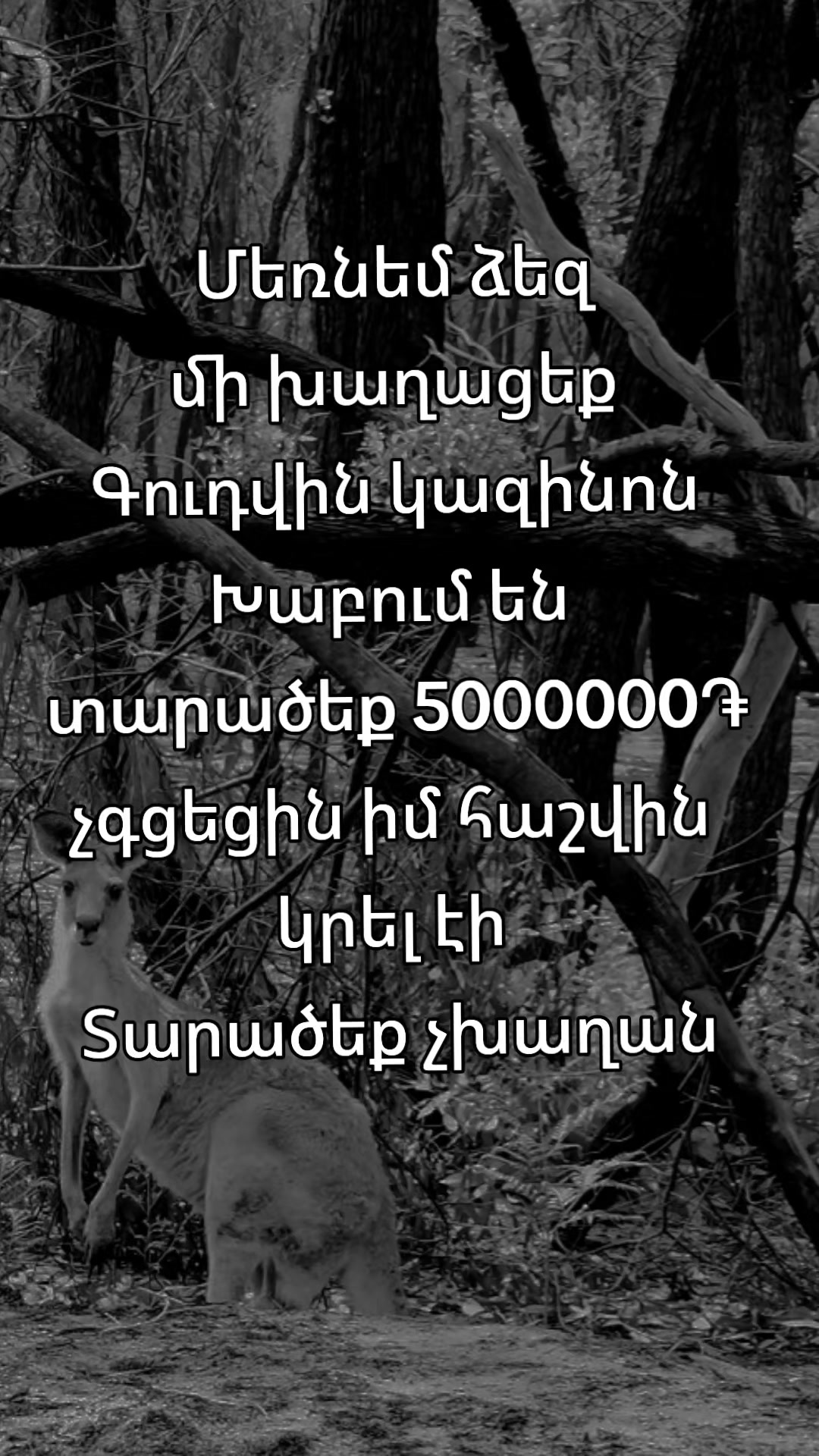 @✴️Կայծ Էջմիածին✴️