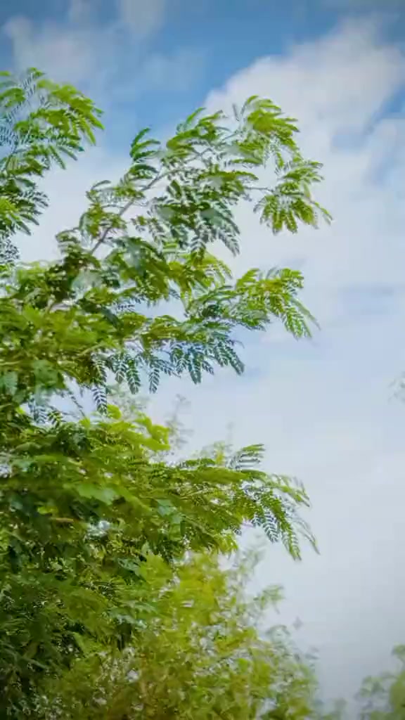 @Mahar shahzaib😍
