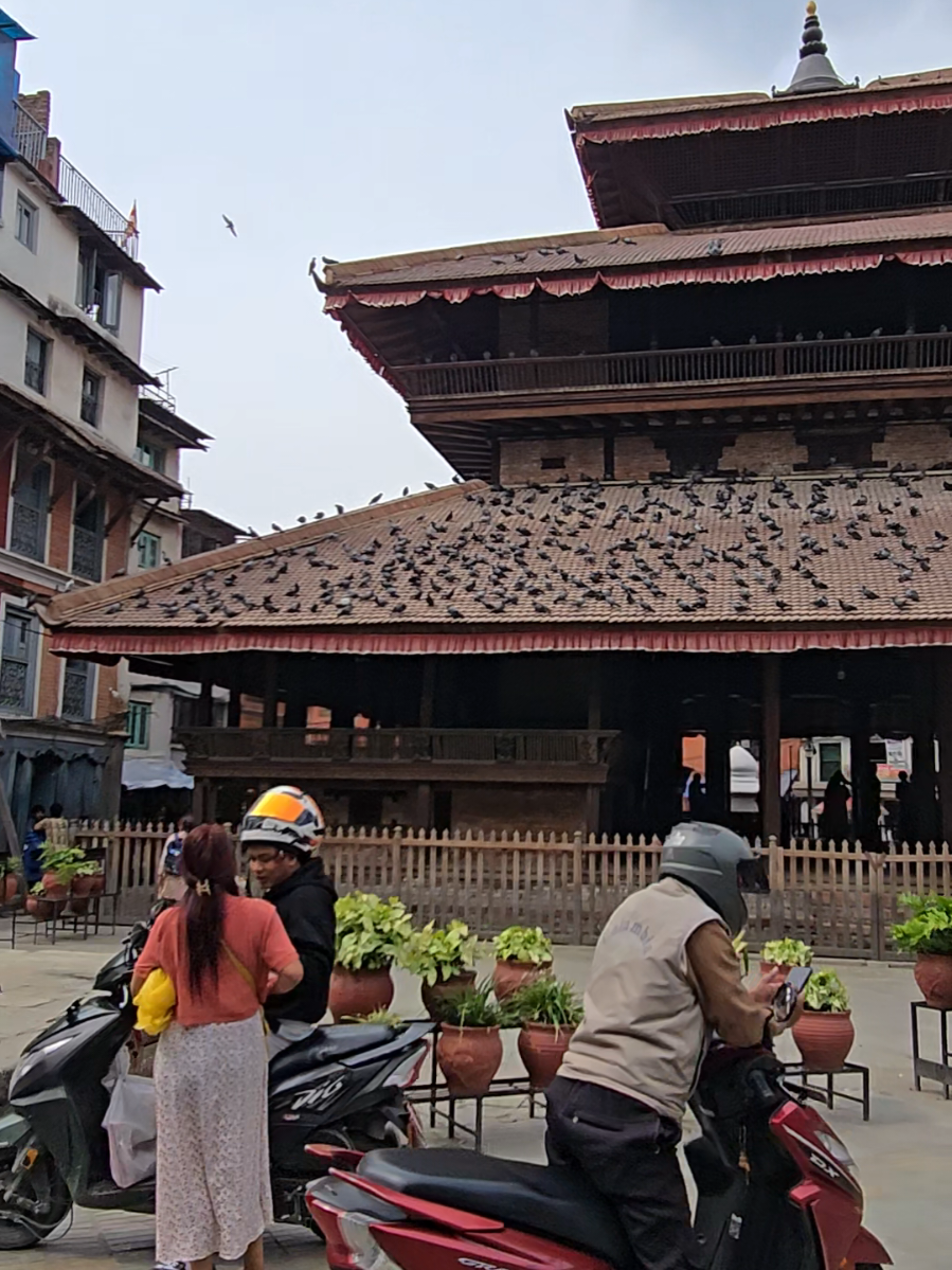 @hamrojatra.com