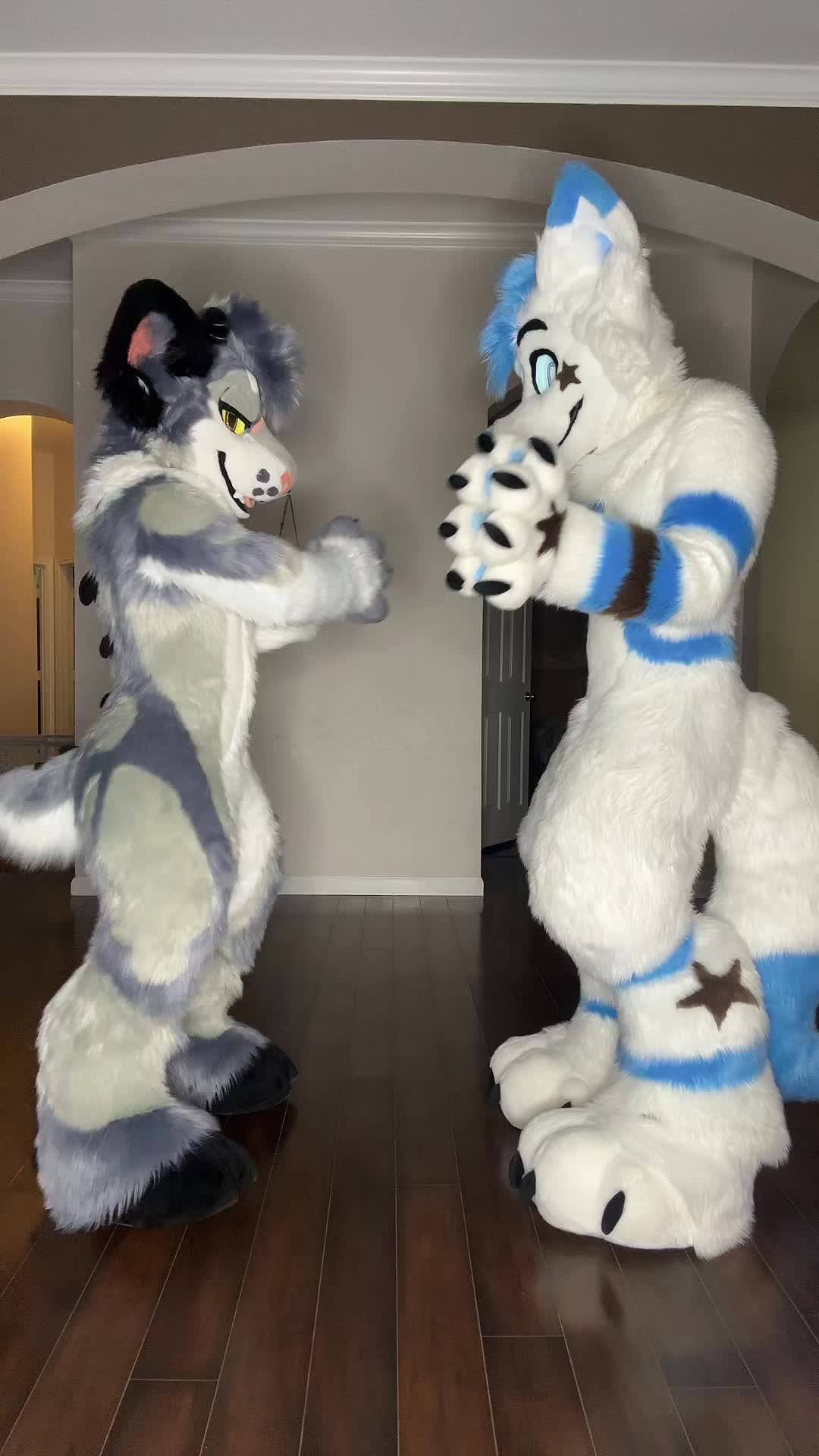 @BlueFoxNova
