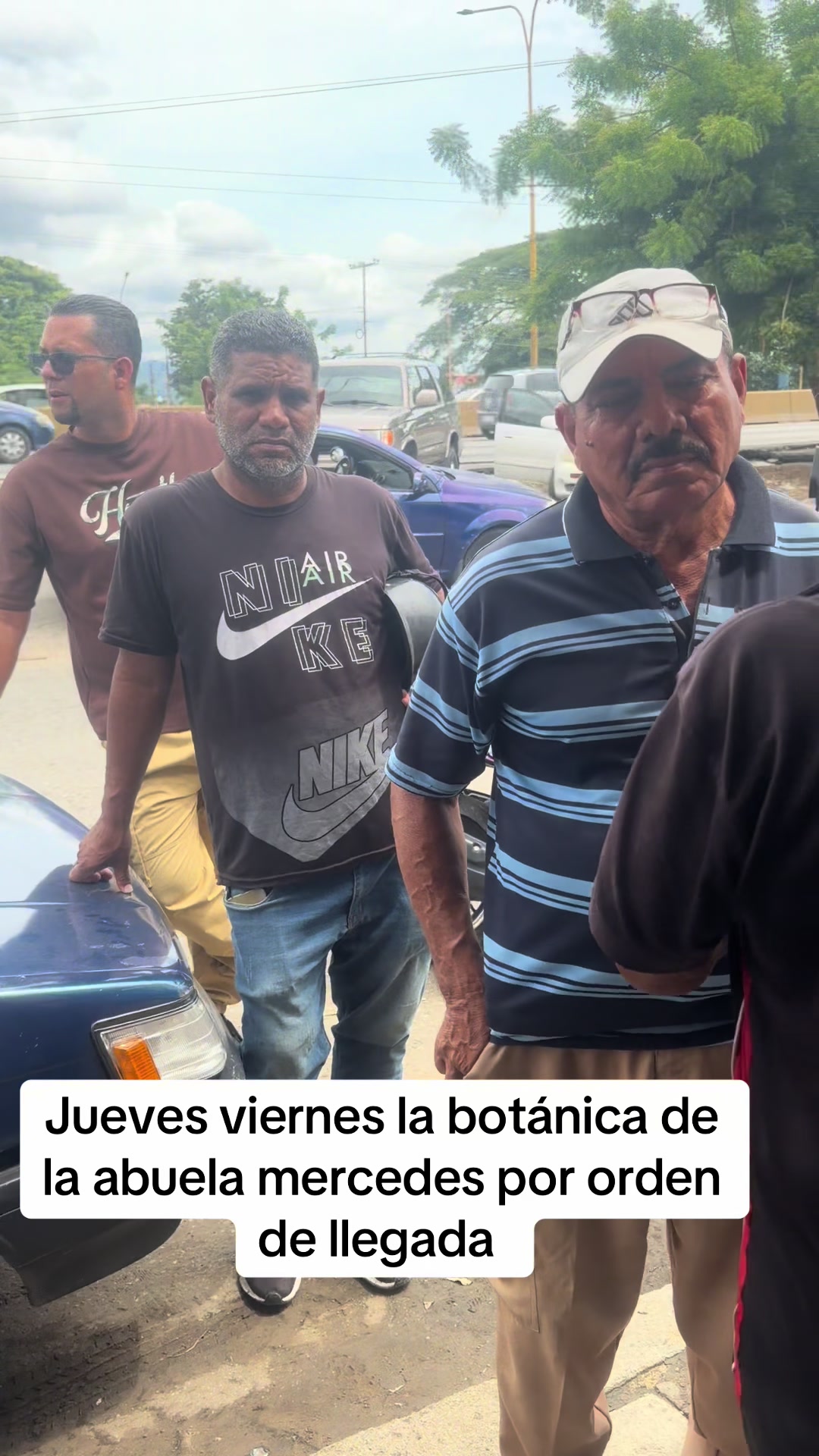 @vanessa plantas