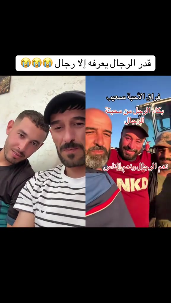 @🌶️🌶️خيمة الناقة🌶️🌶️