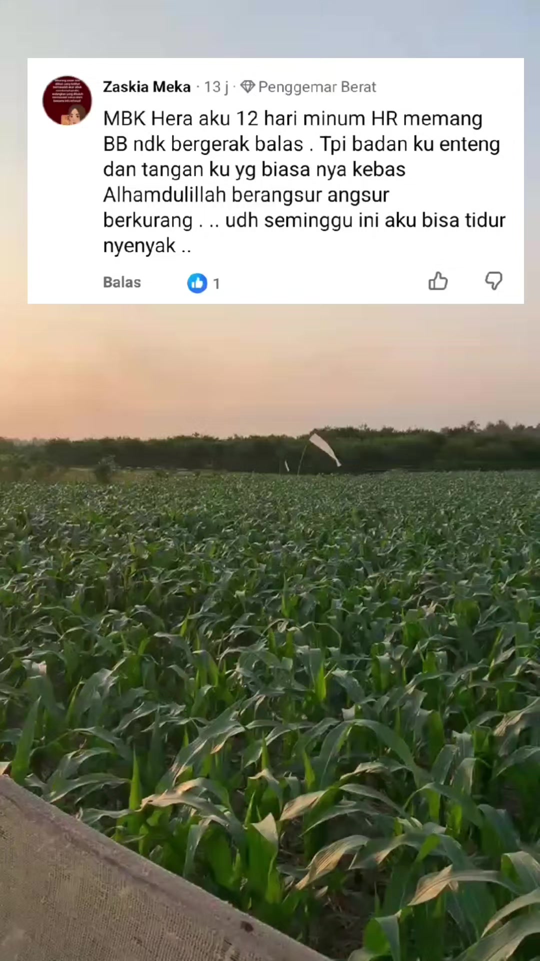 @HERA AMBULU