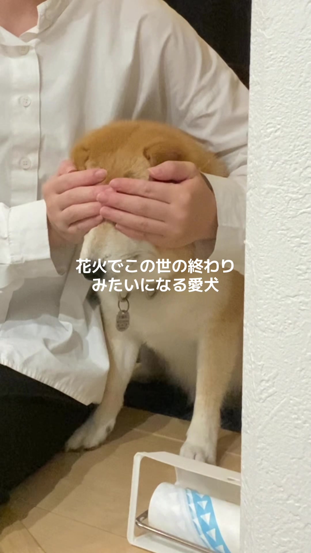 @こむぎといなり