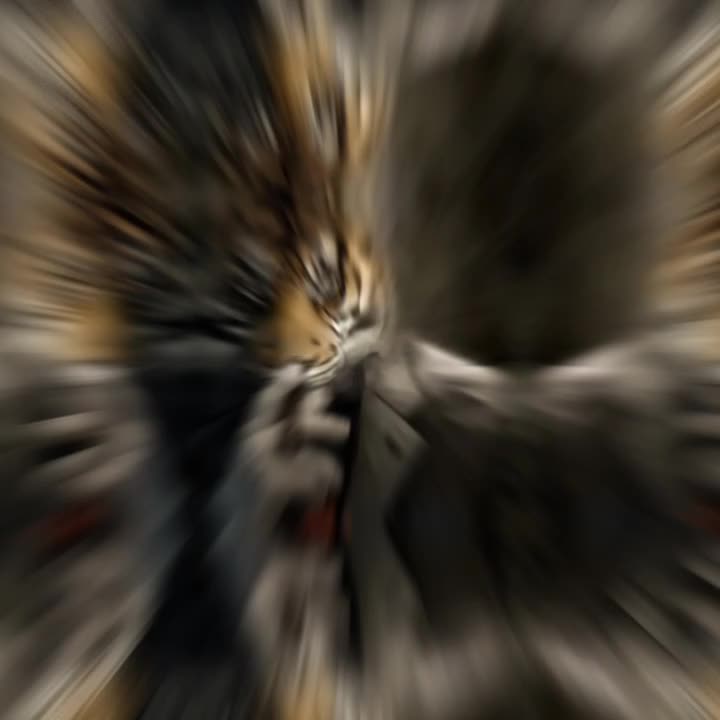 @โงโฑ๐๐_๐๐๐๐๐๐๐๐โงโฑ