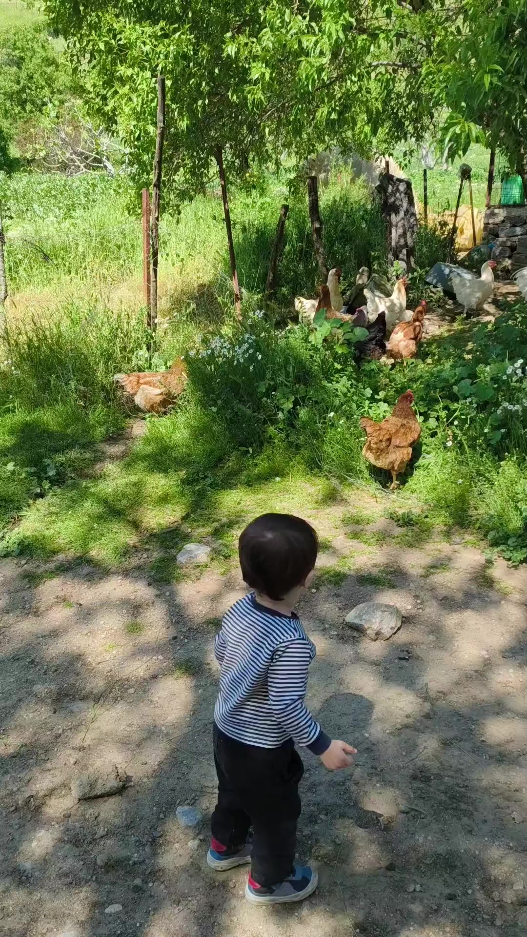@NİLG&Uuml;N❤&Uuml;MİT