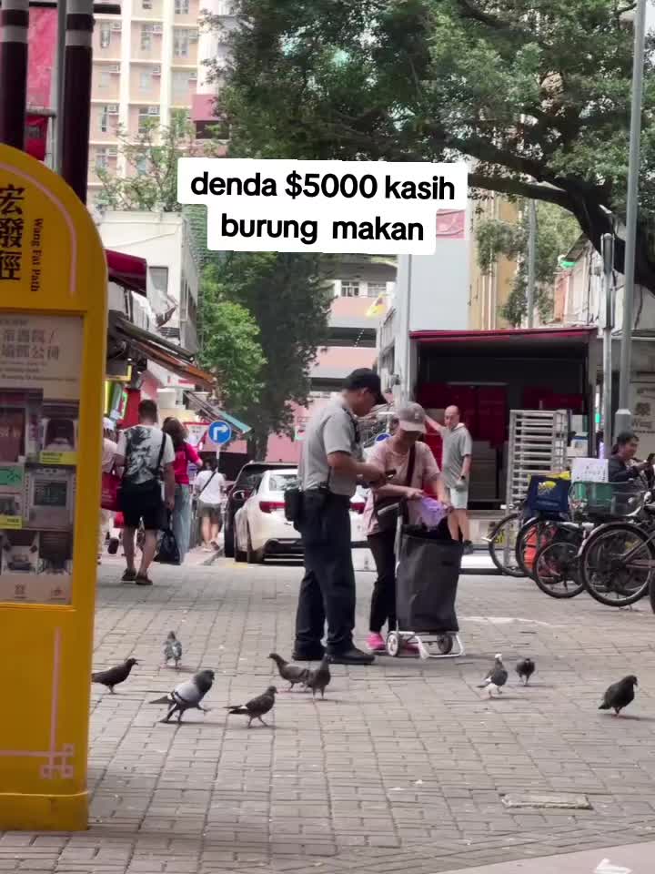 @RedRose🇭🇰🇭🇰