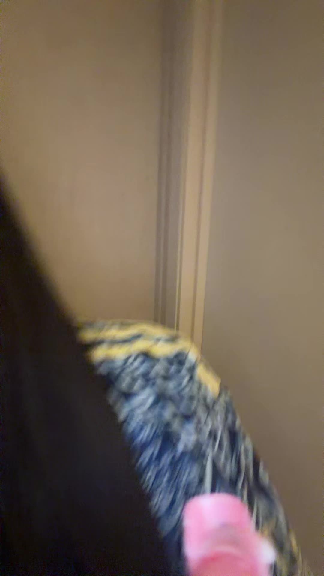 @𝐝𝐚𝐧𝐢 ᥫ᭡.