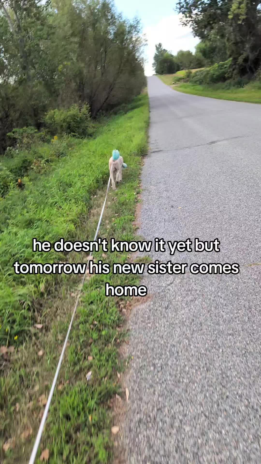 @julia