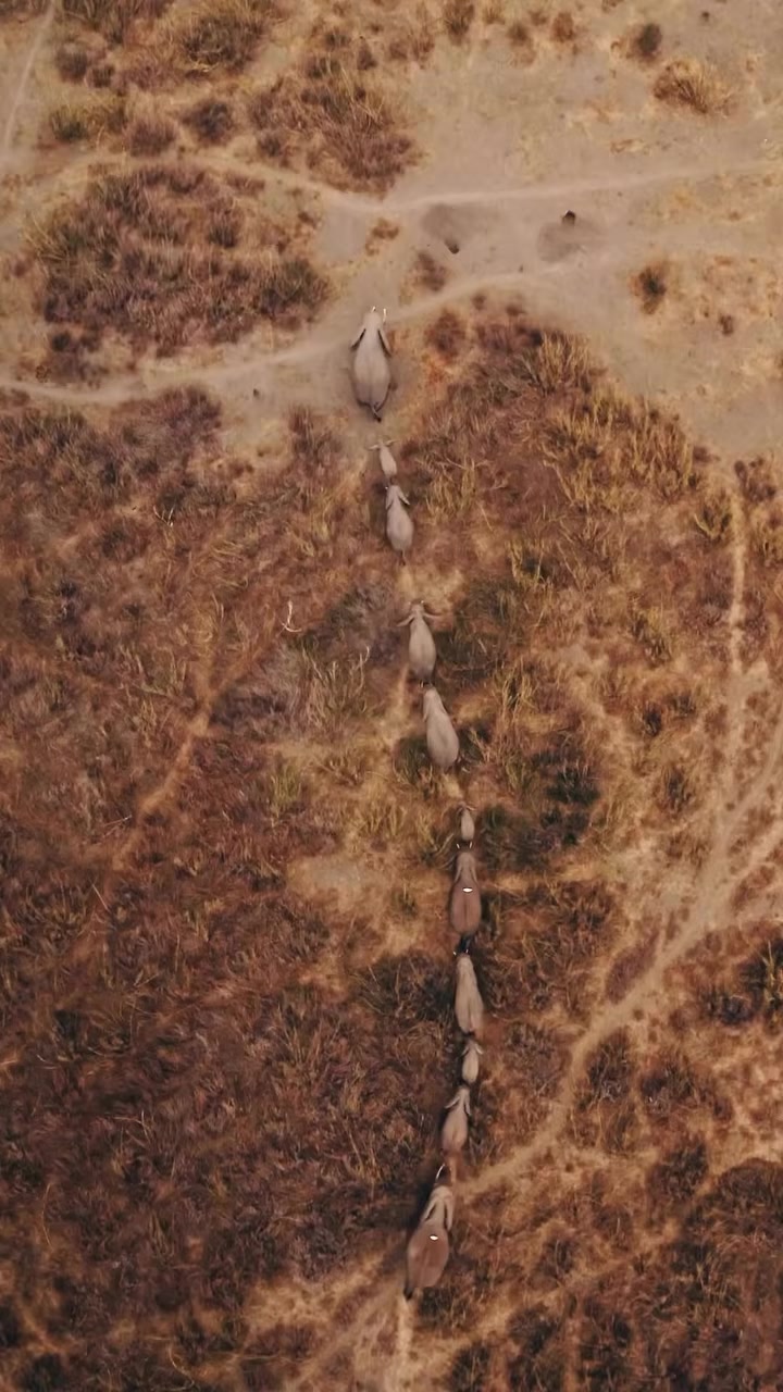 @S K '95