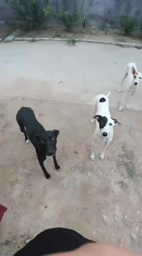 @Funny