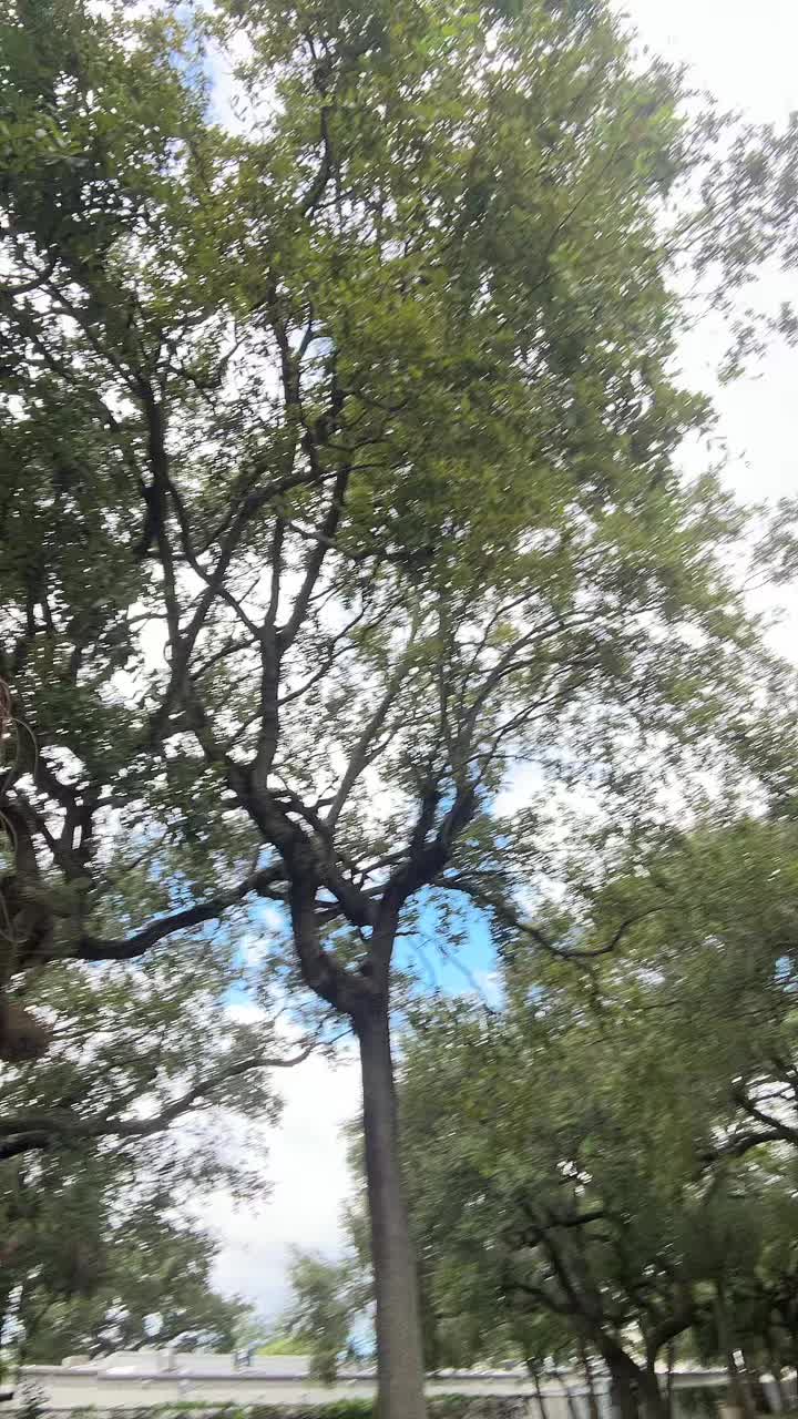 @Maria Jiménez salud$Bienestar