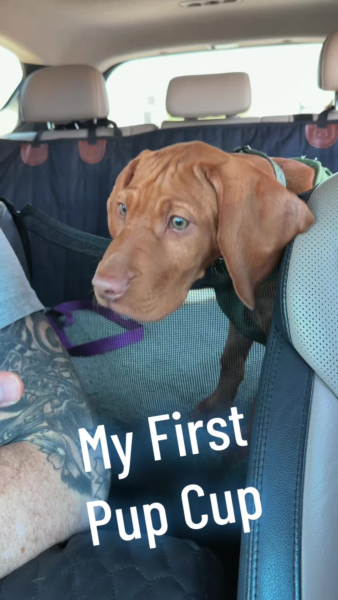 @Copper | Penny