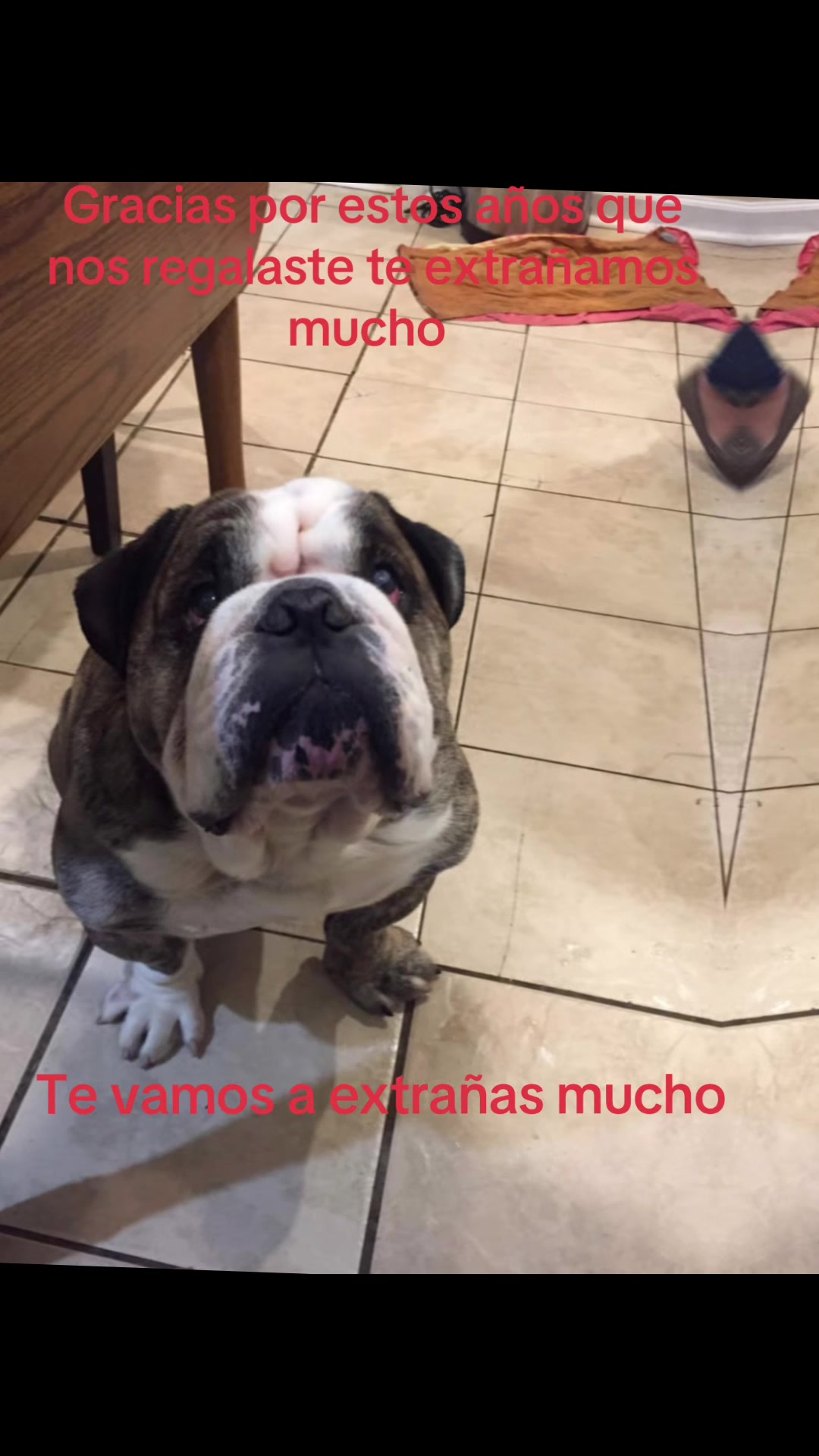 @Joel Rodriguez3889