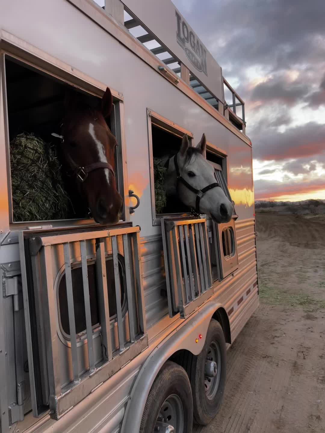 @Smoke Show Rodeo