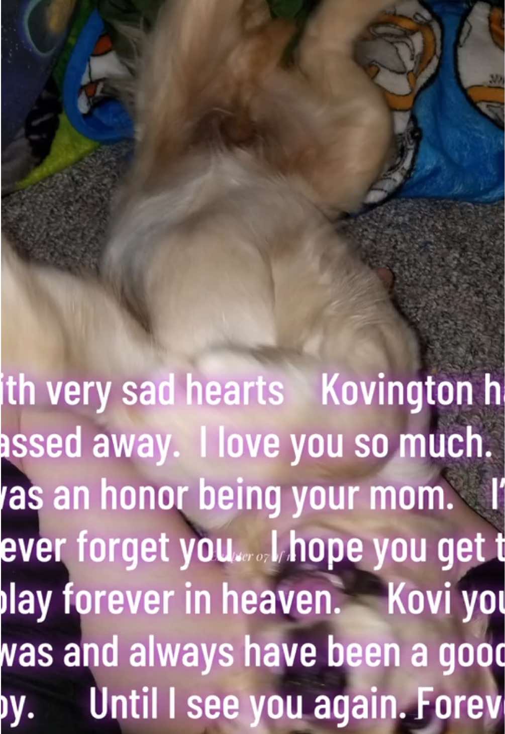 @KoviandLucky