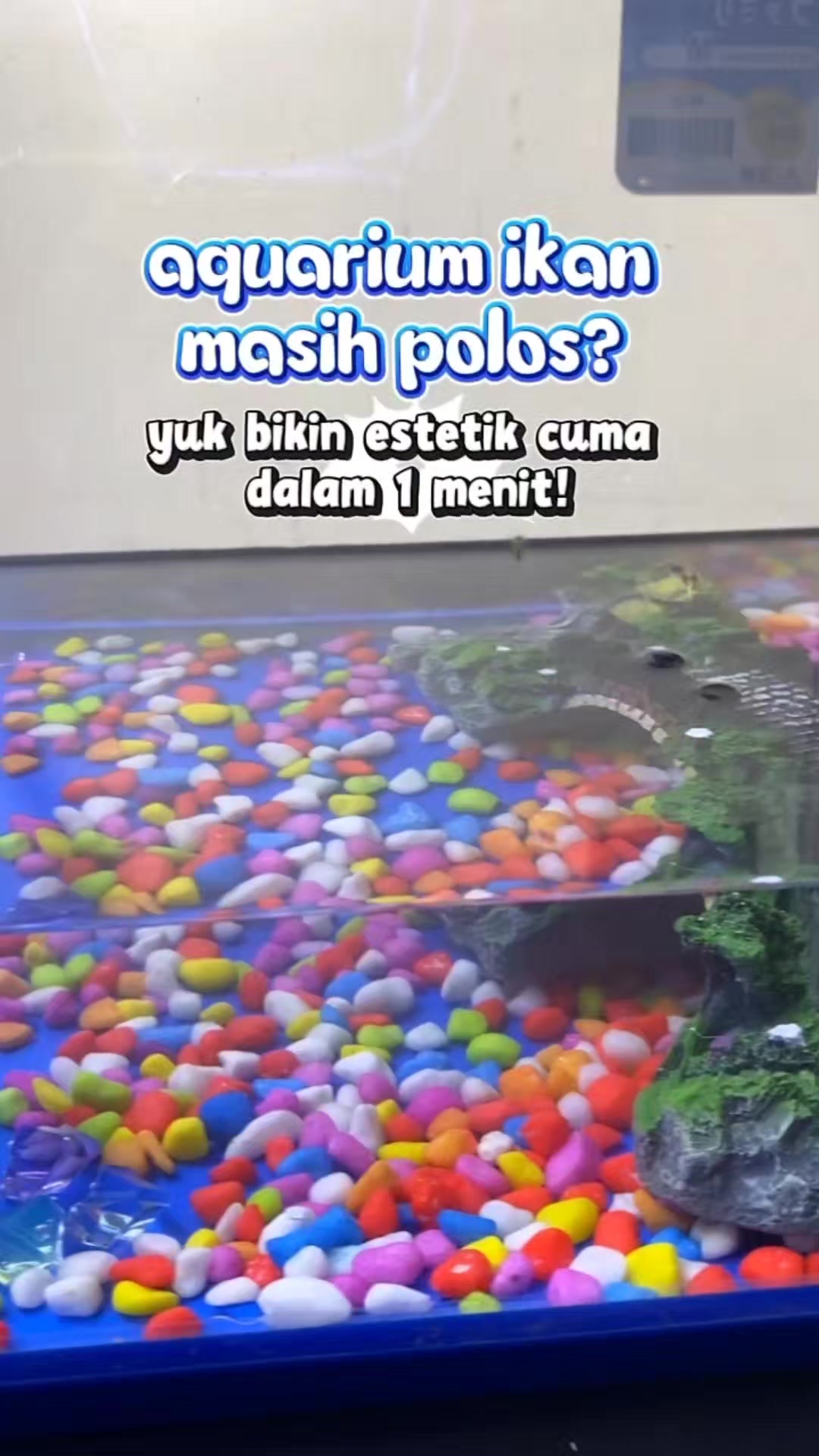 @TamaGo Pet