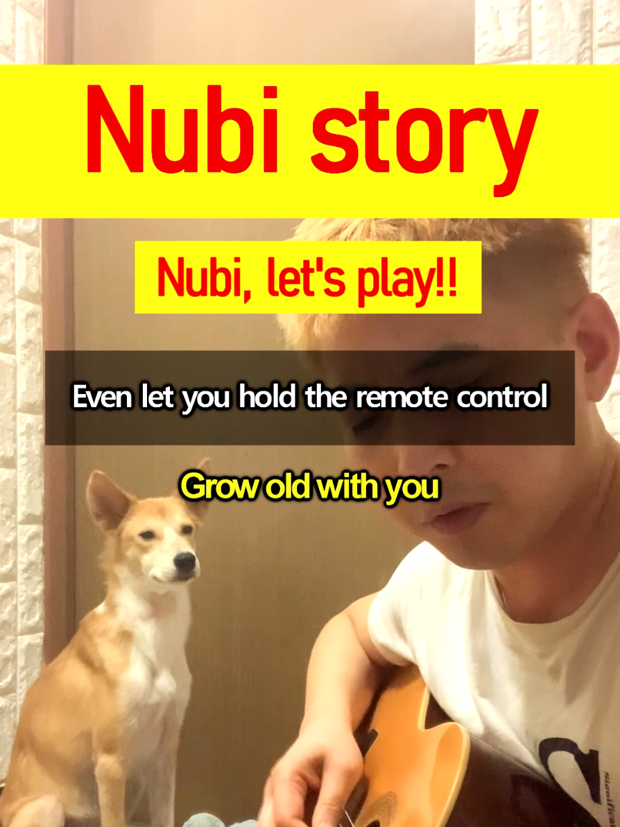 @누비★스토리 Nubi story