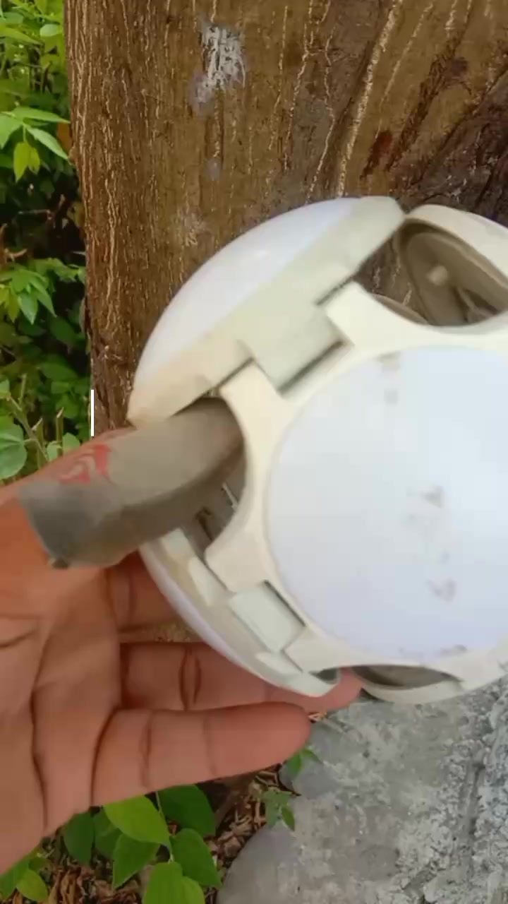 @Jelitaelectroshop