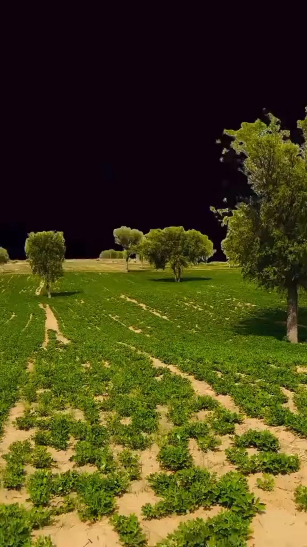 @s&eacute;ny sy10