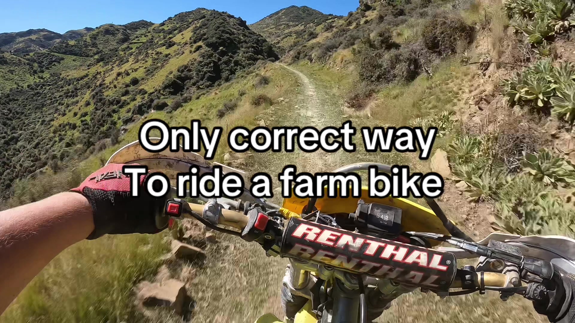 @DRZ Toby🫠