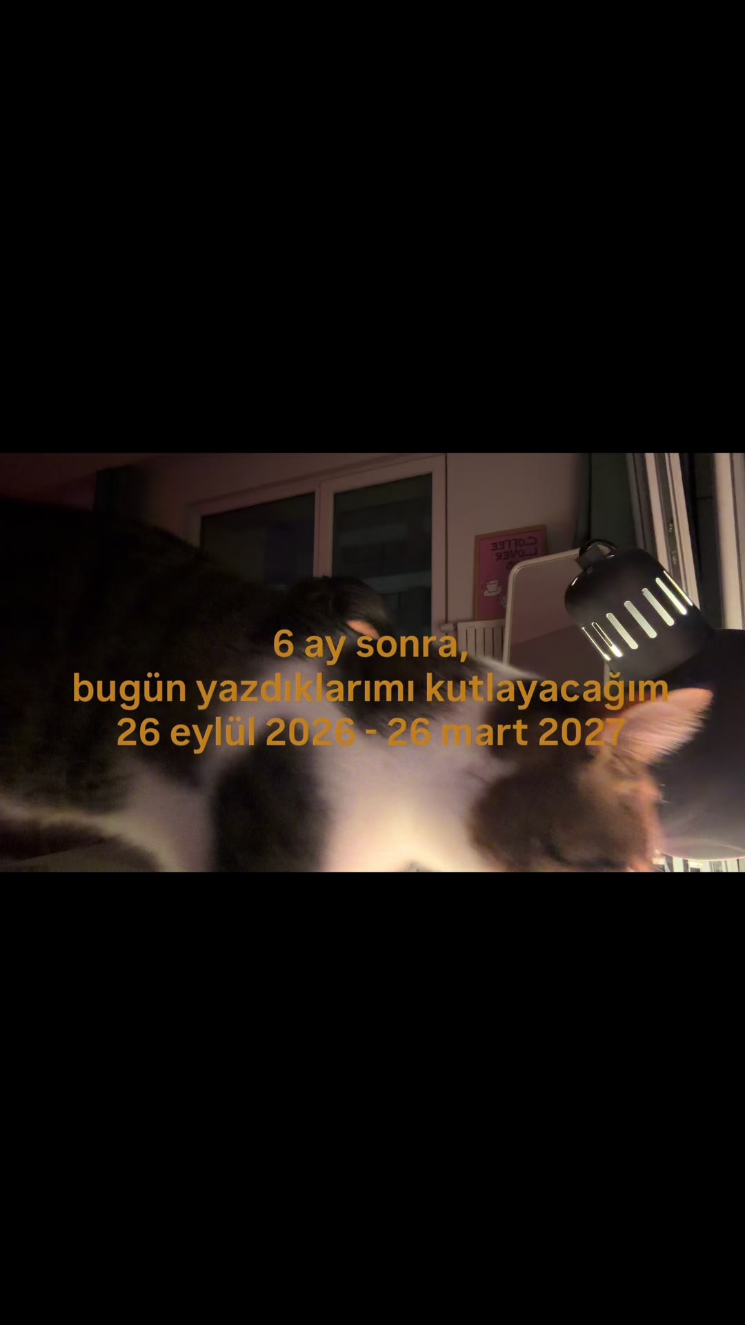 @cobanoglurabiaa