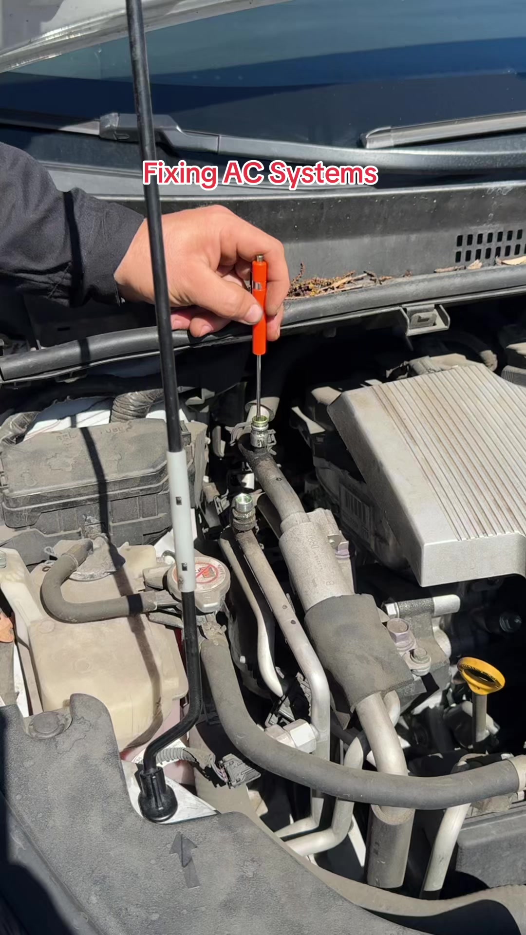 @eastbayautocenter