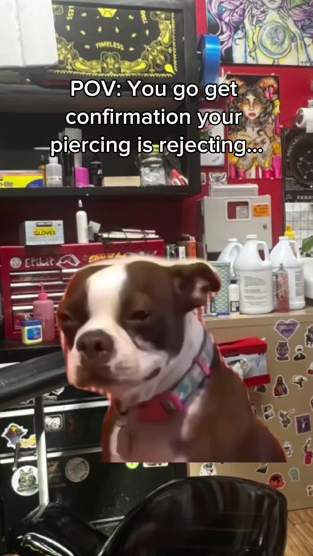 @amandapandaa2go