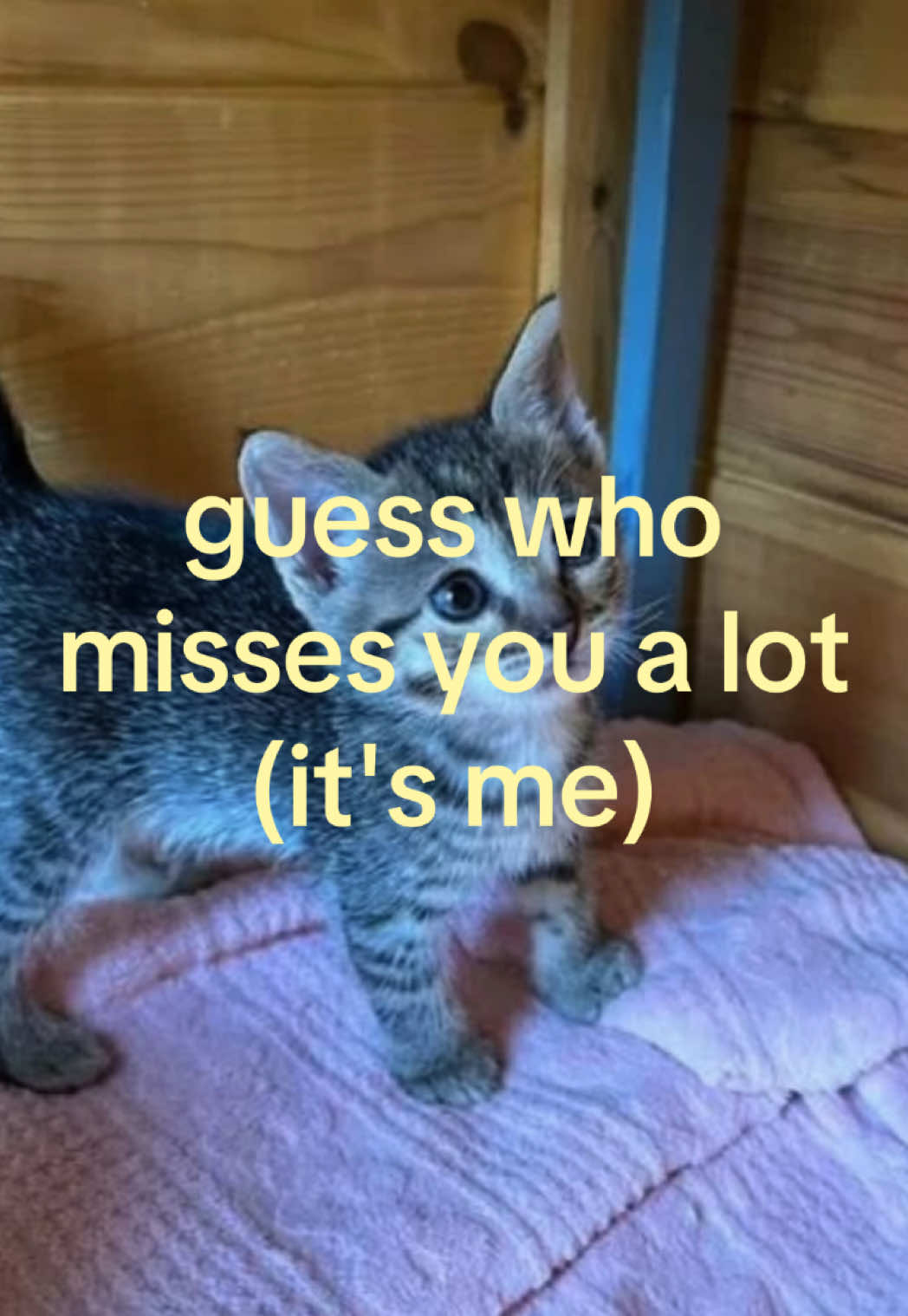 @caughtafeeling