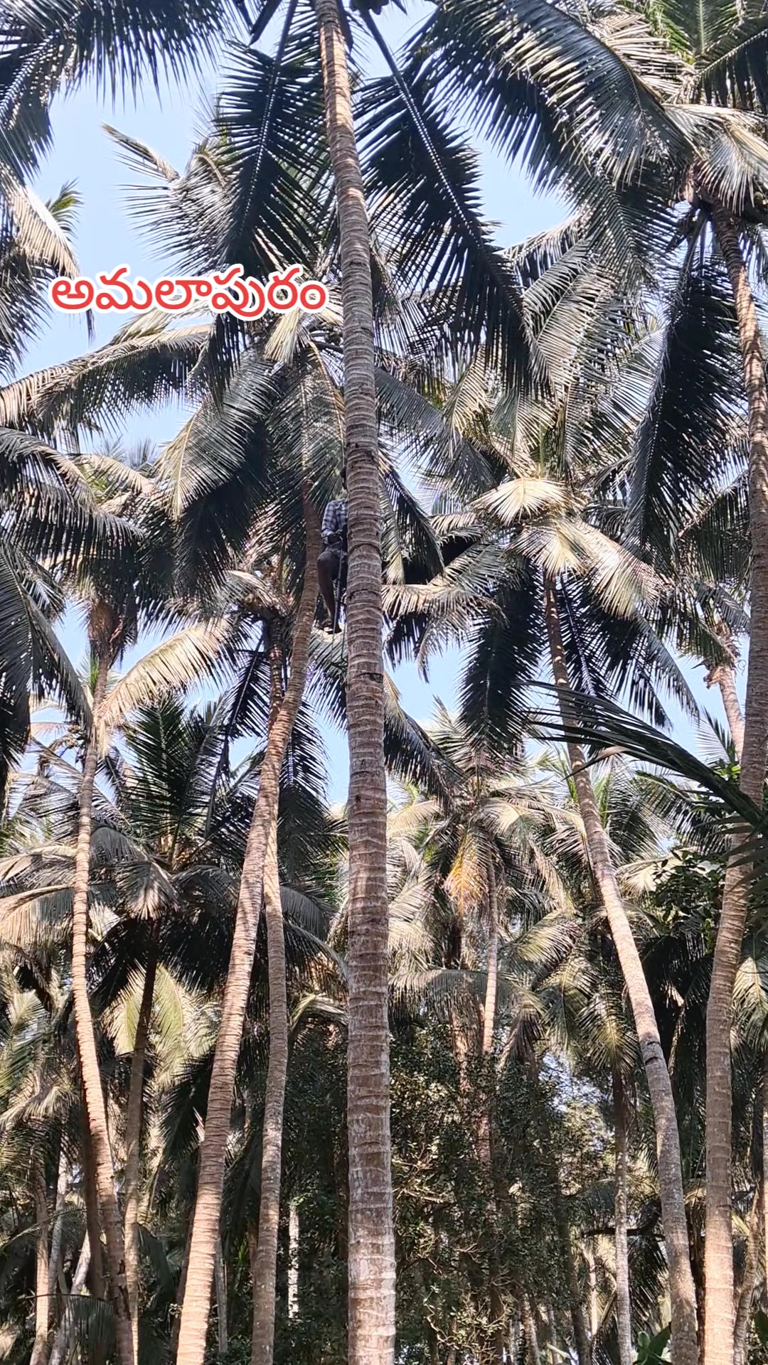 @DHANARAJU🙏🏻🌹🙏🏻