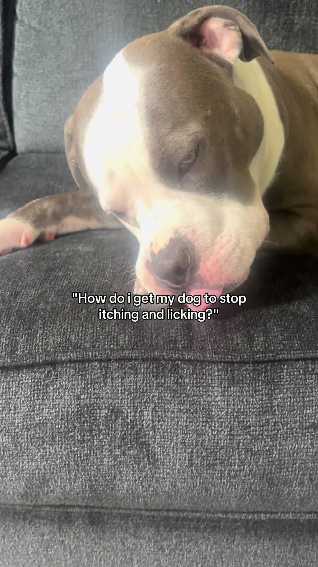 @rhino_finds