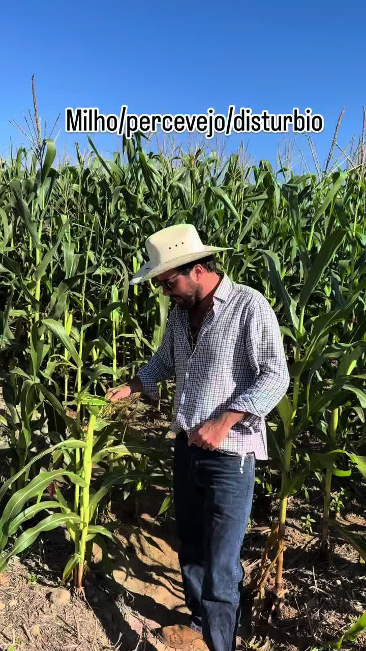 @Agrotaigo