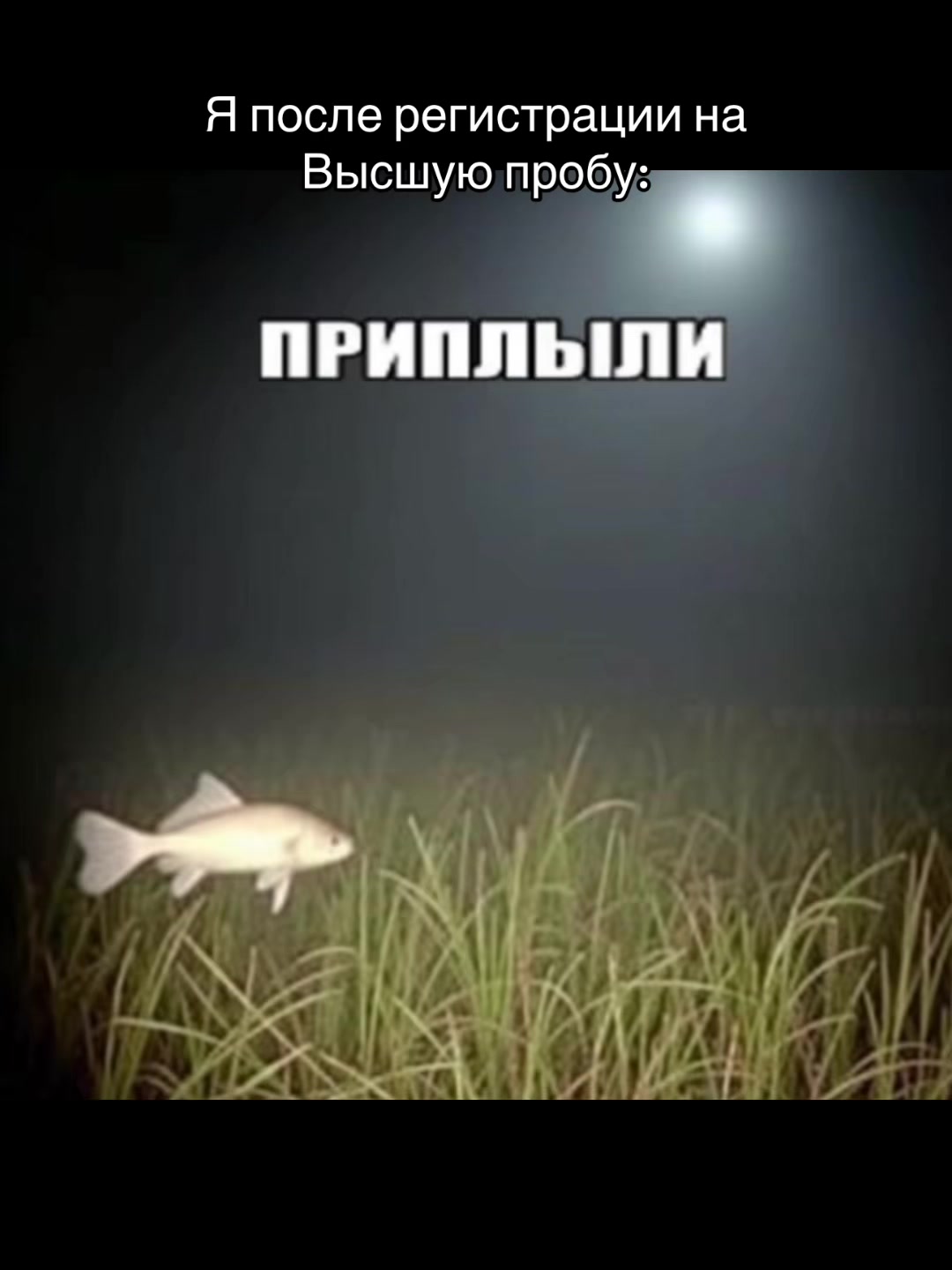 @ТГК: Ян Либург - ВСОШ по праву