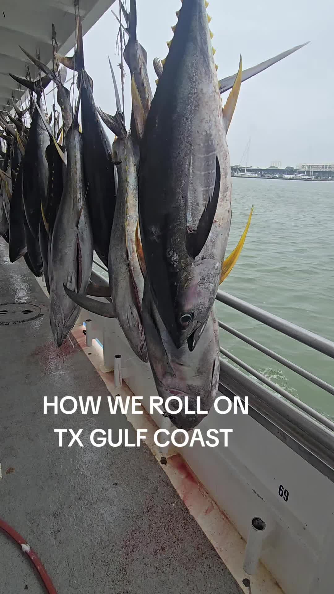 @409texasbred