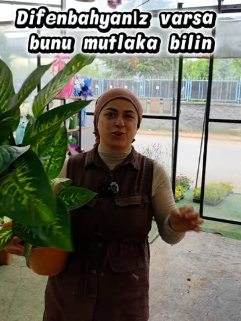 @Botanik bahçesi flora
