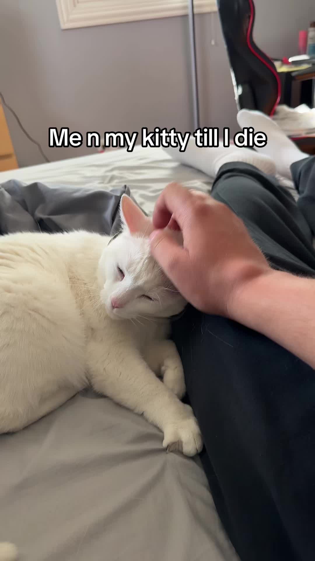 @Nathan Kolakowski