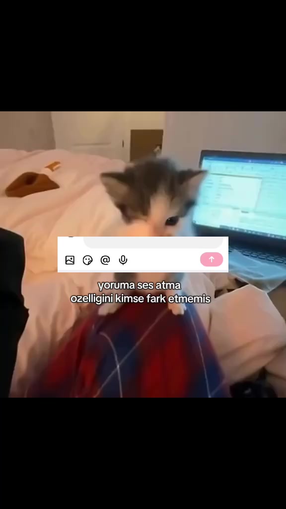 @𝗺𝘆𝘂𝗻𝗴𝗻𝘆𝗮𝗻𝗴𝘇