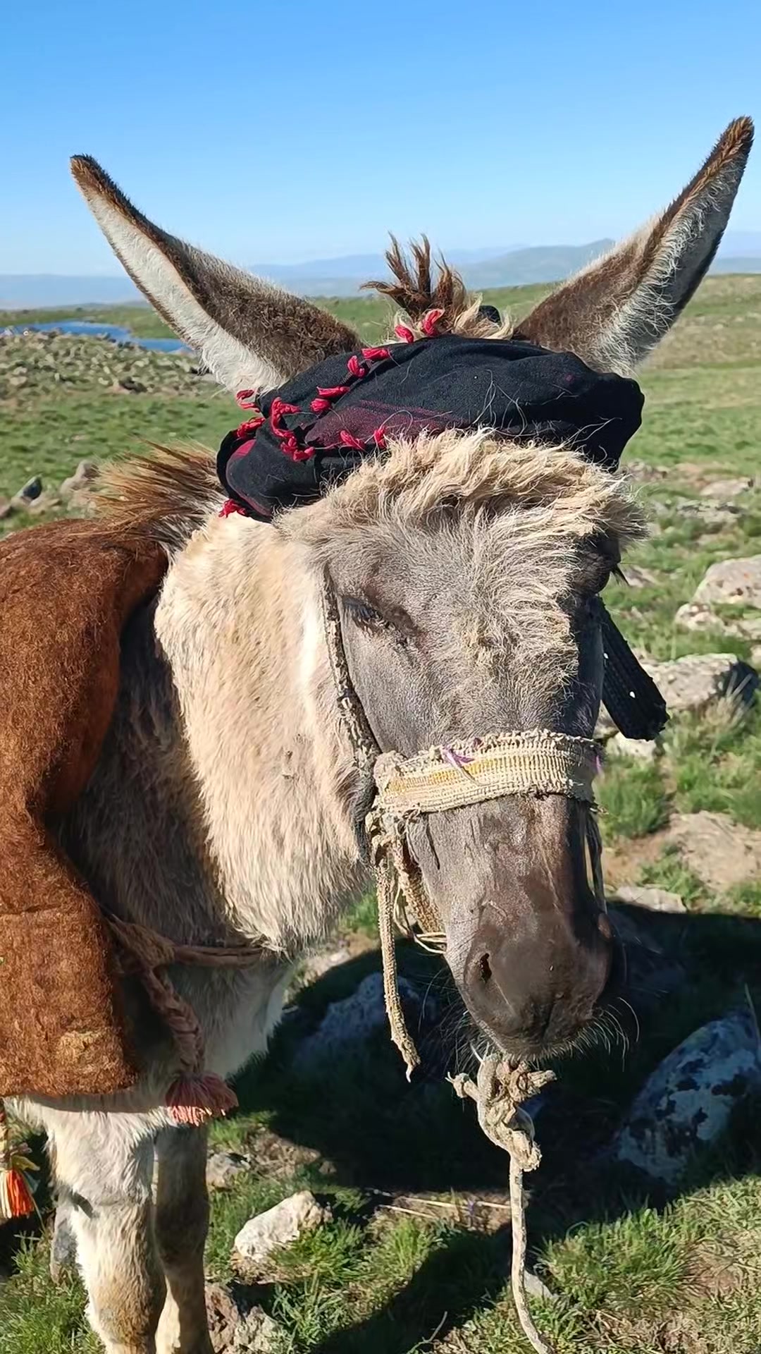 @Habip Baraçkılıç