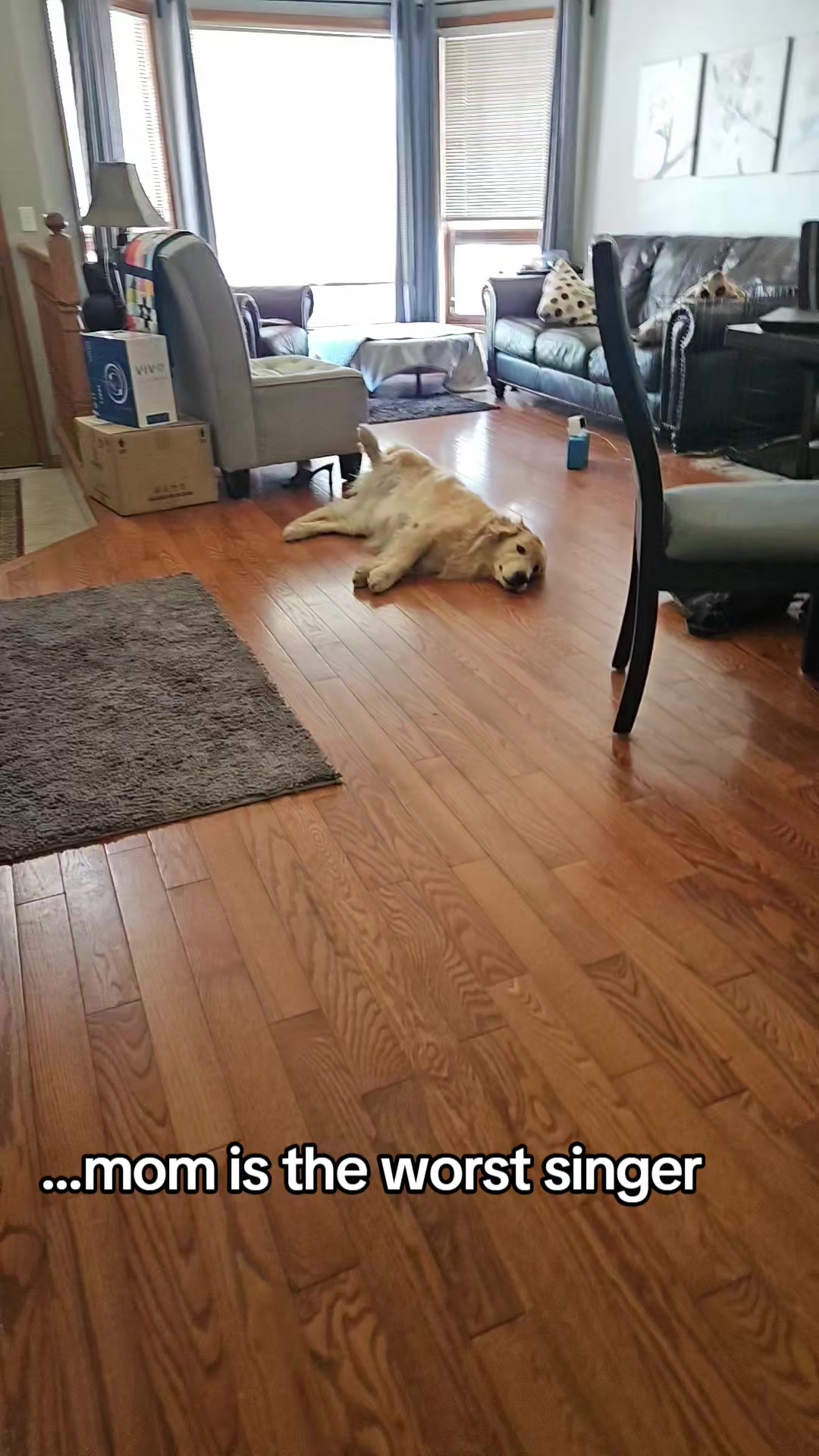 @🐶Griffin