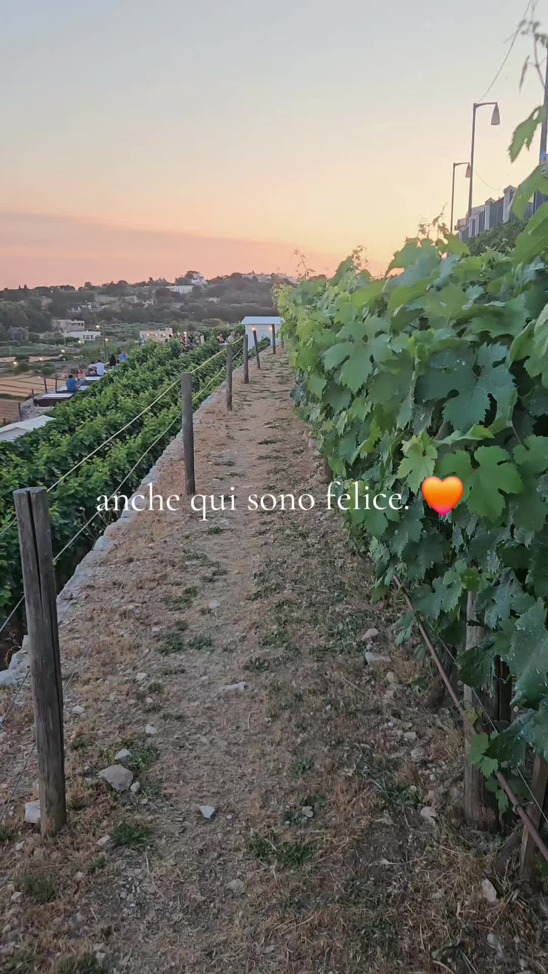 @Mikele Marzulli